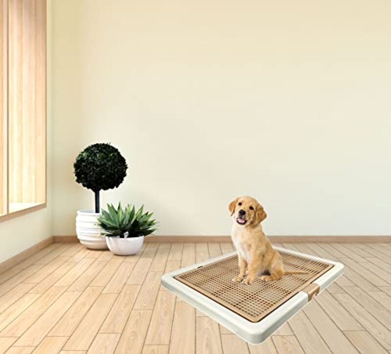 Majibao Potty Training Dog Toilet, 66cm, Beige