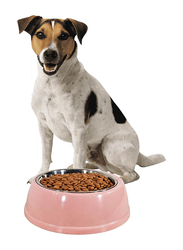 Majibao 17cm Stainless Steel Dog Food & Water Feeder Bowl for Dogs, Normal, Pink