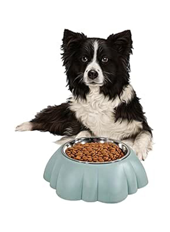 

Majibao 14cm Stainless Steel Dog Food & Water Feeder Bowl for Dogs, Normal, Light Blue