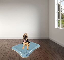 Majibao Training Small Breed Dog Toilet with Tray, Blue