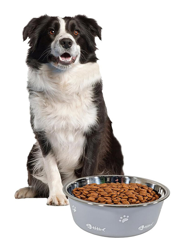 

Majibao 17cm Stainless Steel Dry or Wet Food Feeder Bowl for Dogs, Normal, Grey