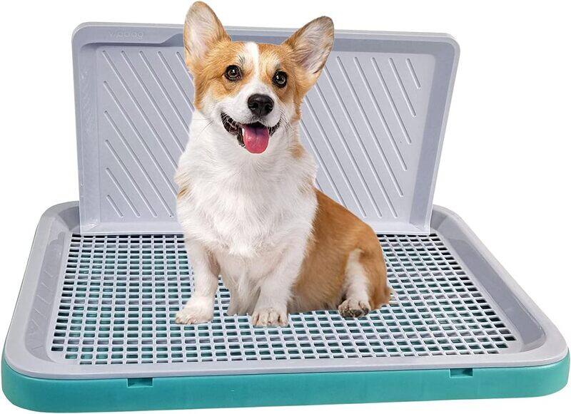 

MAJIBAO Dog Toilet Training, Dog Potty Tray, Washable & Easy To Clean, Keep Paws and Floor Clean, Portable, Dog Pee Training, Durable, Indoor & Outdoor, Green