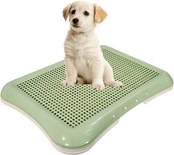 Dog Toilet Training Tray for Small Breed Dogs, Puppies, Indoor Outdoor, Easy To Clean, Keep paws and floor clean, Portable, Durable, Beige & Green Color, Small Size 48 Cm Length