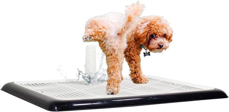 

MAJIBAO Dog pee pad holder, Indoor and Outdoor training toilet for medium and large dogs, keep Paws dry And floor clean, Dog potty tray with standing post (Bl