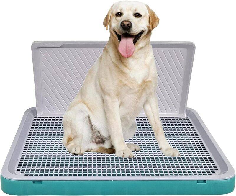 

MAJIBAO Dog Toilet Training, Dog Pee Training, Dog Potty Tray, Washable & Easy To Clean, Durable, Keep Paws and Floor Clean, Portable, Indoor & Outdoor, Green