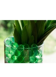 MARGOUN Water Beads Magic Gel Crystal Soil Hydrogel Balls Vase Filler for Growing Plant Home Decor Centerpieces DIY Craft Toys/10000pcs