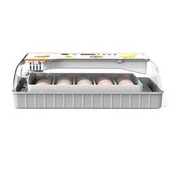Margoun 20 Egg Automatic Egg Incubator, with LED Display, Grey