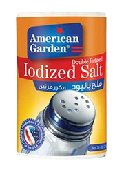 American Garden Lodized Salt, 24 x 26oz