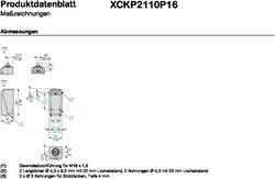 Schneider XCKP2110P16 Limit Switch Xckp Metal End Plunger, Black