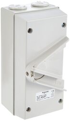 Schneider Electric 20A 250V Surface Mount Single Pole IP66 Weatherproof Isolating Switch, WHS20, White