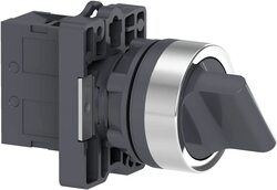 Schneider Electric XA2ED21 Signalling Harmony Selector Switch with Standard Handle, 7.6 x 2.5cm, Grey