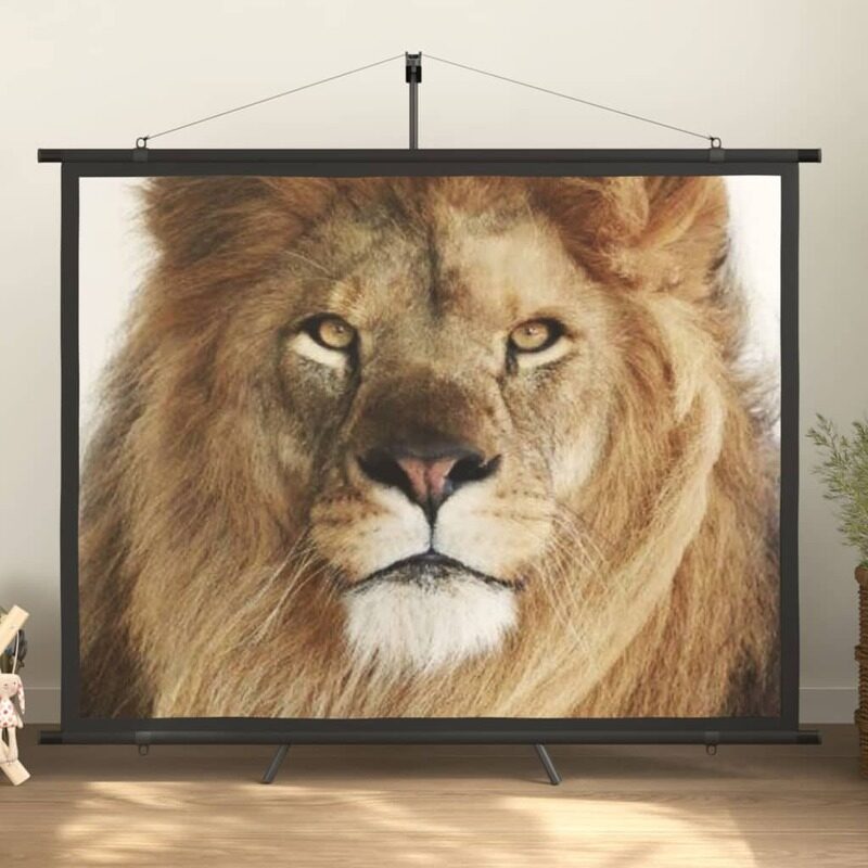 

Vidaxl Projection Screen with Tripod 84" 4:3