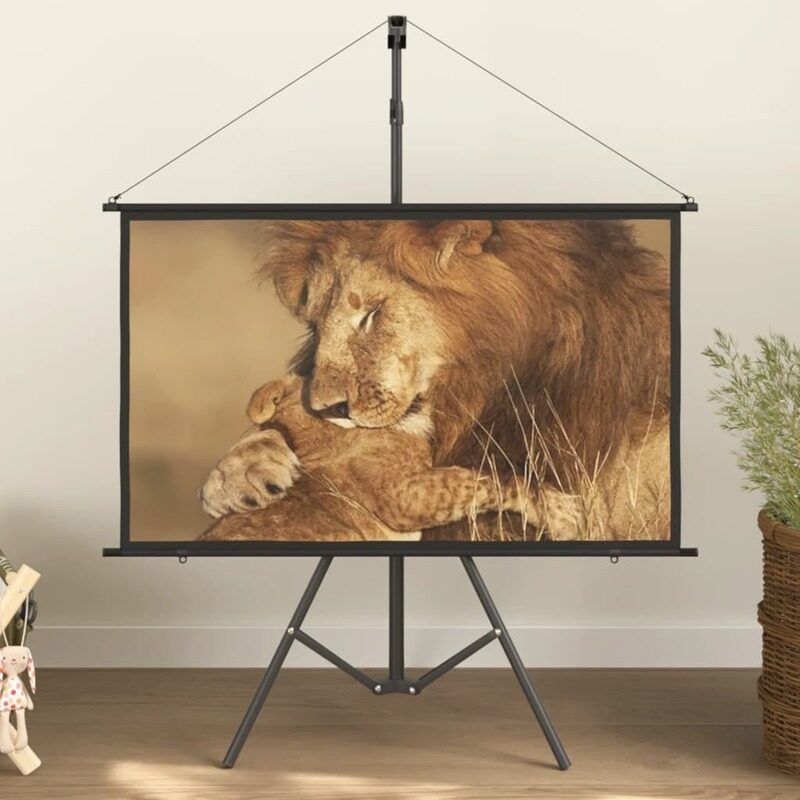 

Vidaxl Projection Screen with Tripod 50" 16:9