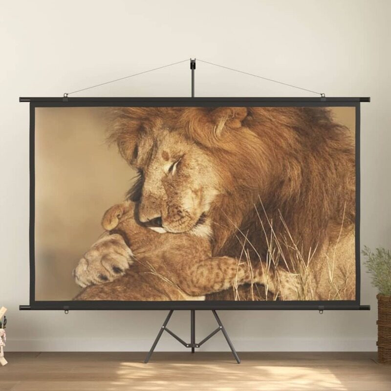 

Vidaxl Projection Screen with Tripod 108" 16:9