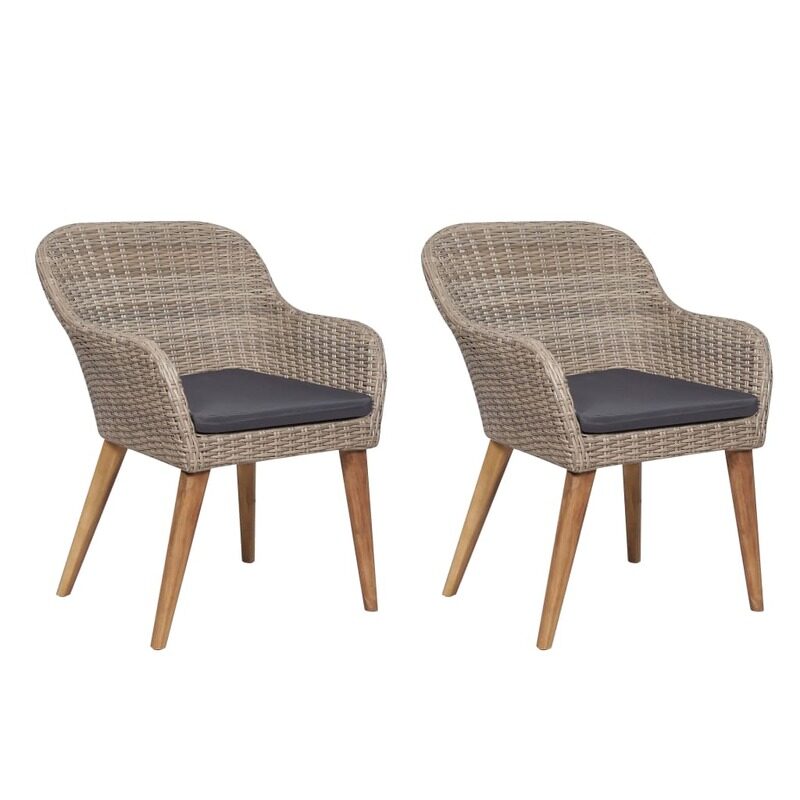 

vidaXL Outdoor Chairs with Cushions 2 pcs Poly Rattan Brown