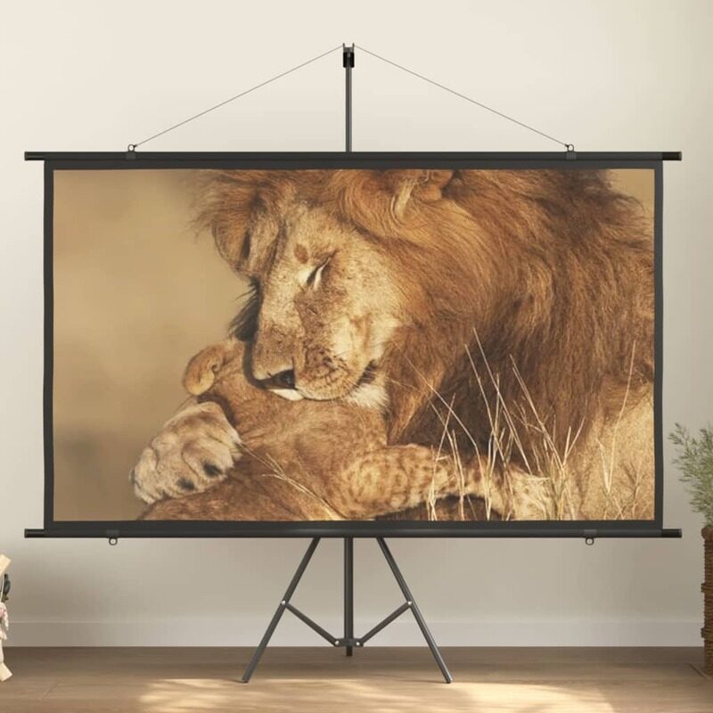 

Vidaxl Projection Screen 90" 16:9