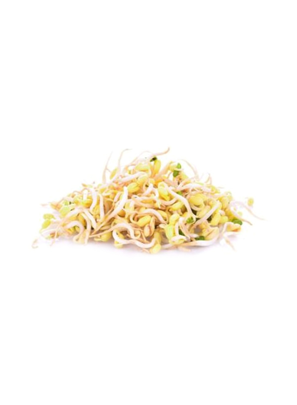 Bean Sprout, 500g