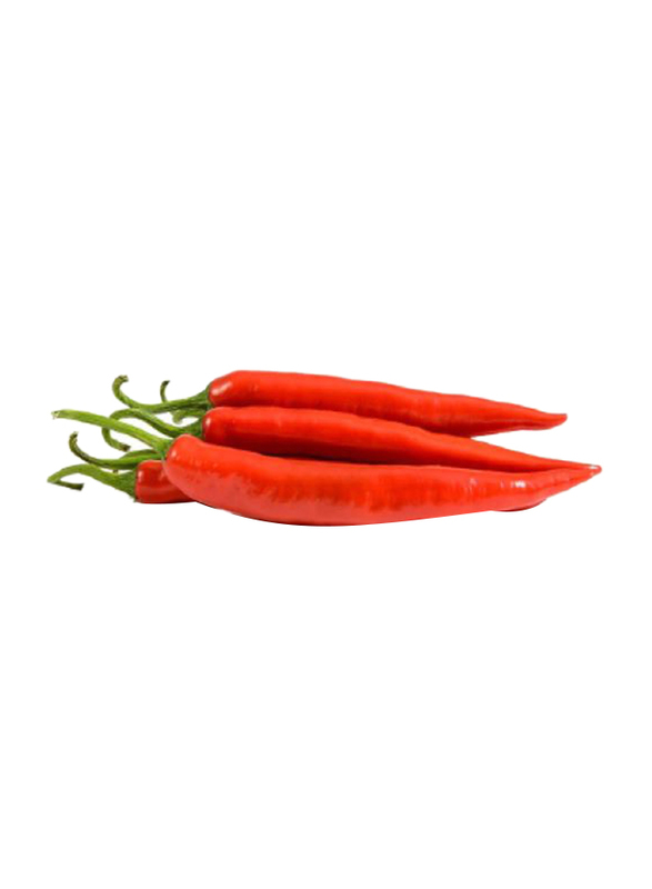 Chili Long Red Spain, 500g