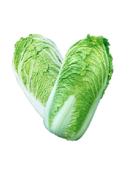 Chinese Cabbage Netherland, 1Kg (Approx)
