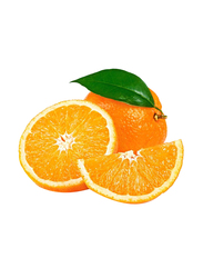 Navel South Africa Orange, (6-7 Pieces), 1Kg
