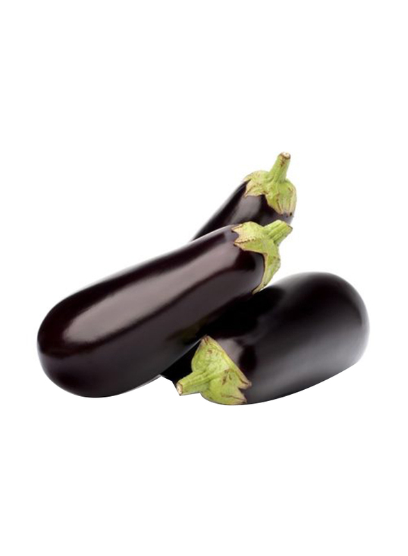 Eggplant Holland Pack, 500g