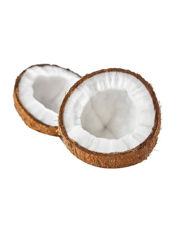 Dry Coconut India, 1 Piece