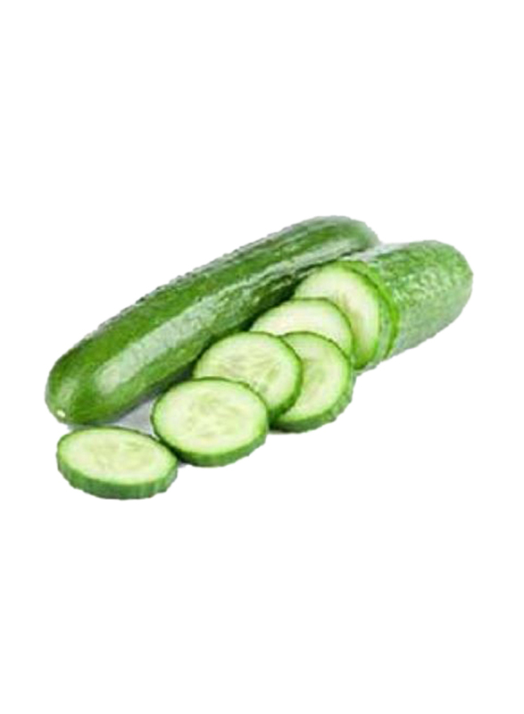 Cucumber UAE, 1Kg
