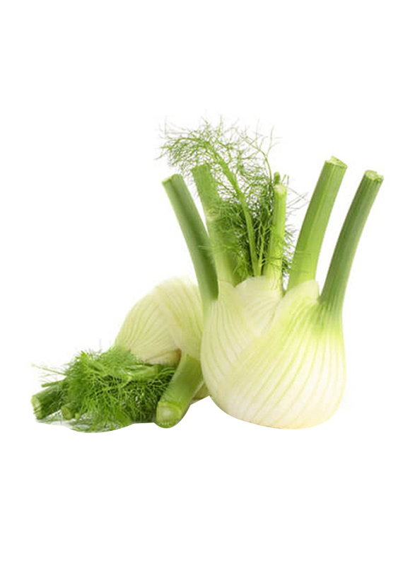 Fennel Holland Pack, 500g