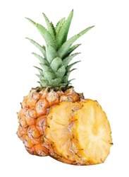 Baby Pineapple South Africa, 1 Piece