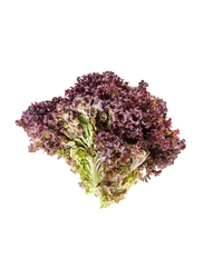 Lettuce Pack Lollo Rosso, 200g