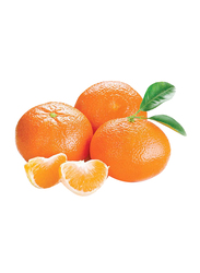 South Africa Mandarin, (4-5 Pieces), 1Kg