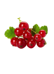 Red Currant Holland, 125g