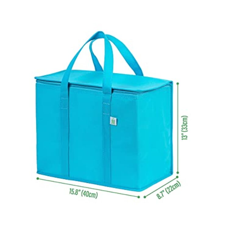 Veno Bag 2-Piece Insulated Reusable Grocery Bag, Cyan