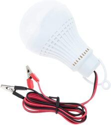 Outdoor Energy Saving LED Bulb, DC12V L, White