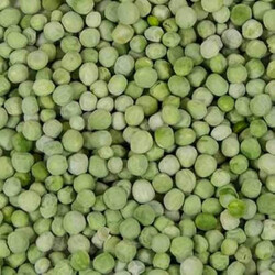 Eastern Green Peas 500gm*100pcs
