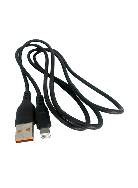 Denmen 1 Meter Lightning Data Cable, 2.4A Fast Charge USB Type A Male to Lightning for Apple Devices, D01L, Black