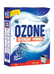 Ozone Detergent Powder, 110g
