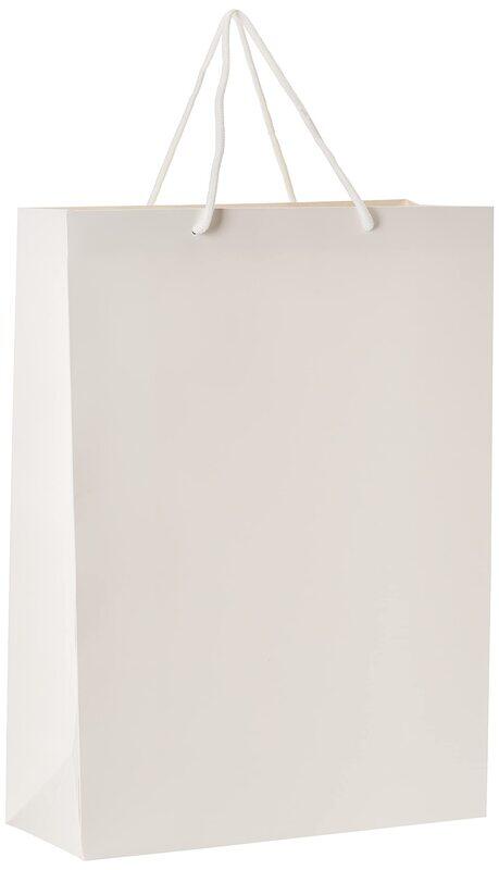 

Generic Paper Gift Bag, 12 Pieces, 32.6 x 43.4 x 5cm, White