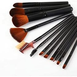 Naari By Srishti Makeup Brush Set With Holder Makeup Premium Brushes, 12-Piece, Black