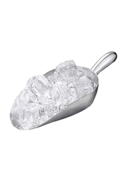 Detab Aluminium Ice Scoop, Silver
