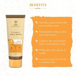 Khadi Essentials Vitamin C Face Wash - 100ml