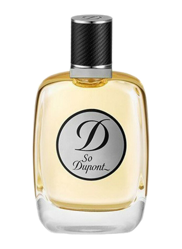 

S.T.Dupont So Dupont 100ml EDT Perfume for Men