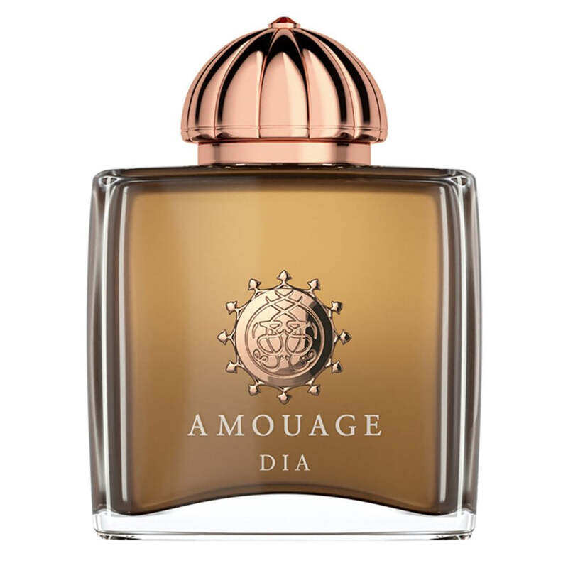

Amouage Dia EDP Perfume W 100Ml (New)