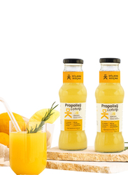 DK Propolis Pineapple Lemon Turmeric Ginger Beverage, 250ml