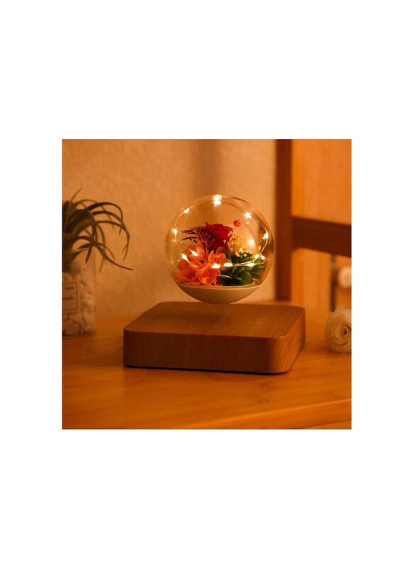 

Generic Levitating Flower Lamp Magnetic Floating Light, Clear