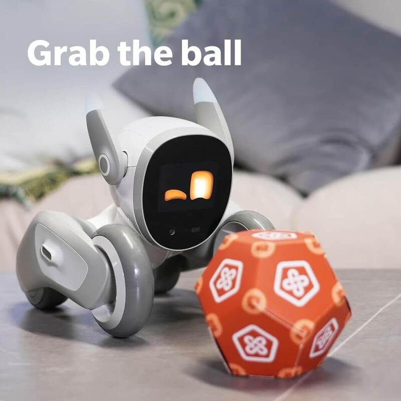 Loona the Petbot: Chat GPT Enabled with Voice Command & Gesture Recognition