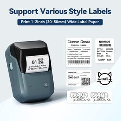 NIIMBOT B1 Inkless Label Maker with Tape