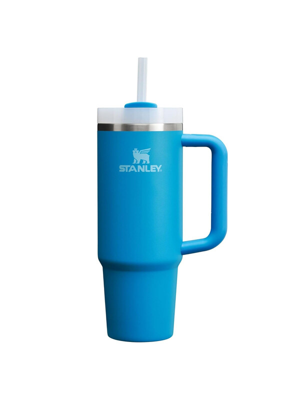 

Stanley 30oz Quencher H2.0 FlowState Stainless Steel Vacuum Insulated Tumbler with Lid and Straw, Azure