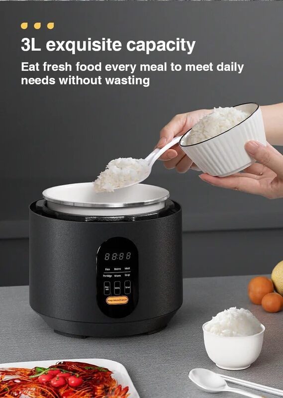 ZOLELE EP301 Multifunctional Electric Pressure Cooker 3L Timer Rice Cooker Digital Display With 10 Preset Cooking Keep Warm  Automatic ShutOff  Black