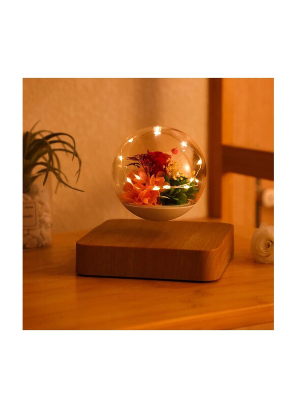 

Generic Levitating Flower Lamp Magnetic Floating Light, Multicolour